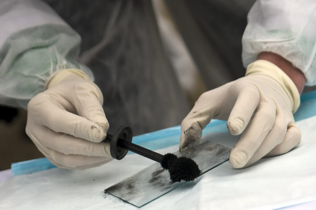 Forensic Analysis