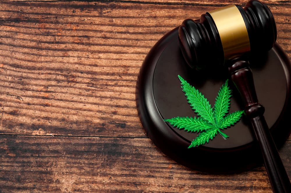 Legal marijuana, decriminalized cannabis, or a felony conviction? A concept featuring a marijuana leaf and a wooden gavel on a wood background with copy space.