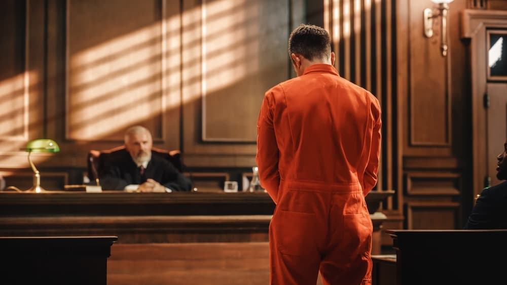 Person standing before a judge during a court hearing, illustrating the serious legal consequences of theft and property crime charges in Los Angeles.