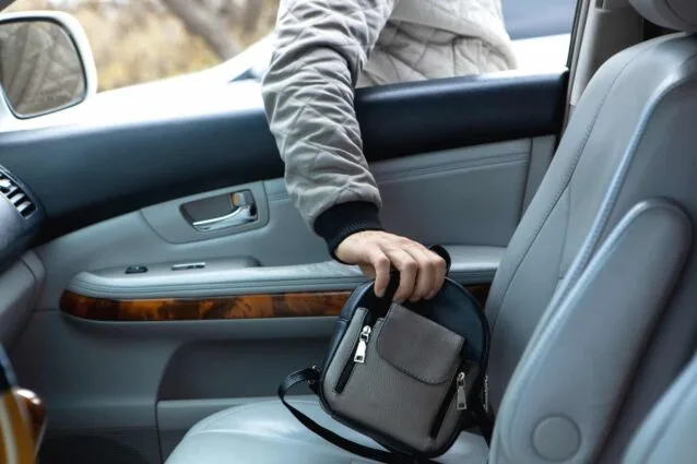 Person stealing a bag from a parked car, illustrating petty theft charges in Los Angeles and the value of a defense led by a former prosecutor.